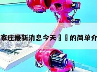 石家庄最新消息今天㊙️的简单介绍
